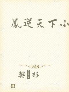 凤逆天下小说