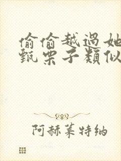 偷偷越过她by甄栗子类似小说