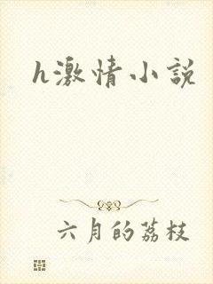 h激情小说