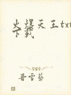 火爆天王txt下载