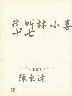 我叫林小喜今年十七