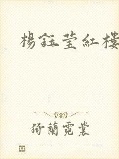 杨钰莹红楼
