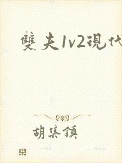 双夫1v2现代