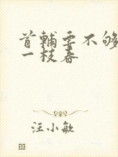 首辅要不够po一枝春