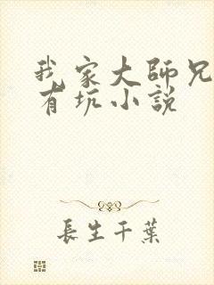 我家大师兄脑子有坑小说