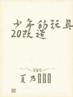 少年的玩具1一20改造