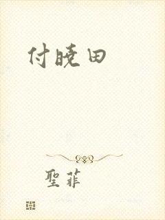 付晓田