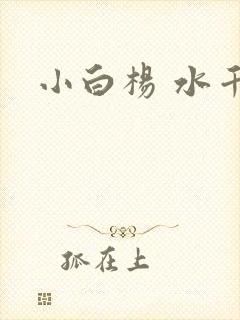 小白杨 水千丞