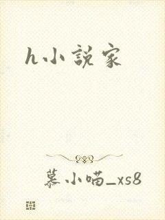 h小说家
