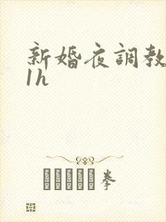 新婚夜调教1v1h