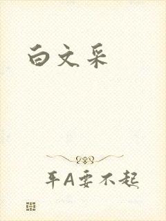 白文采