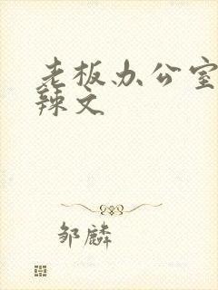 老板办公室系列辣文