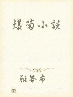 爆菊小说