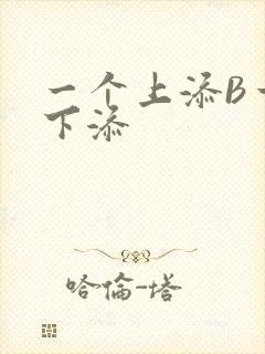 一个上添B一个下添