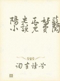 阳光正好苏玥玥小说免费阅读无弹窗