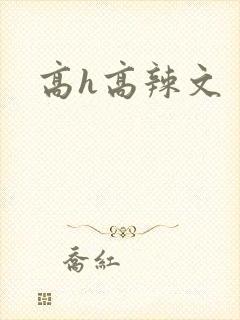 高h高辣文