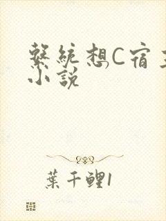 系统想C宿主的小说