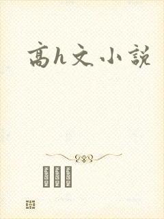 高h文小说