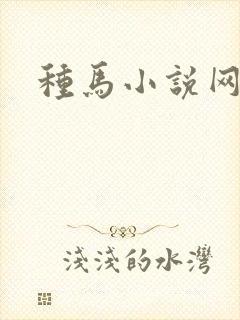 种马小说网