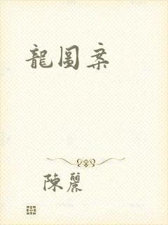 龙图案