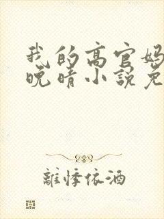 我的高官妈妈苏晚晴小说免费阅读