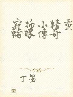 宠物小精灵之写轮眼传奇