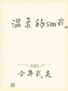 温柔的sm我