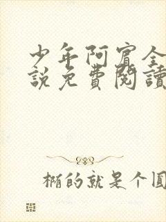 少年阿宾全文小说免费阅读笔趣阁