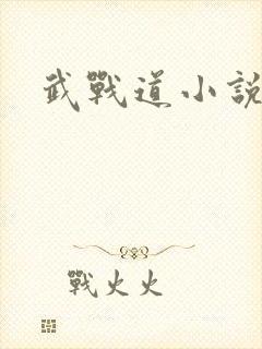 武战道小说