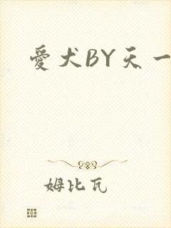 爱犬BY天一