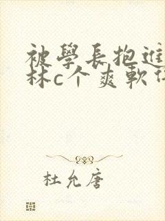 被学长抱进小树林c个爽软件