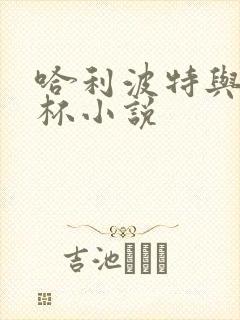 哈利波特与火焰杯小说