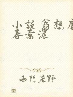 小说 翁想房中春意浓