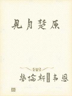 见月楚原