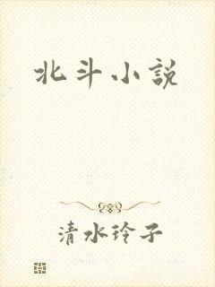 北斗小说