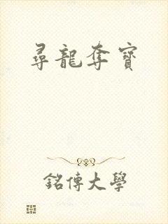寻龙夺宝