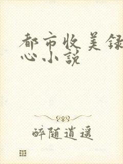都市收美录宁素心小说
