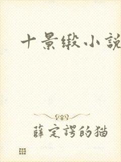 十景缎小说