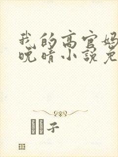 我的高官妈妈苏晚晴小说免费阅读