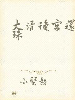 大清后宫还君明珠