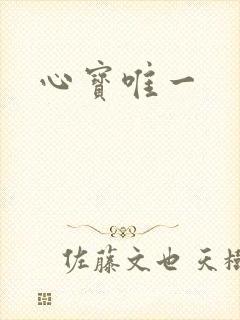 心宝唯一