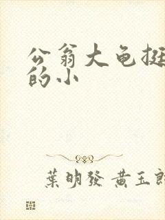 公翁大龟挺进我的小