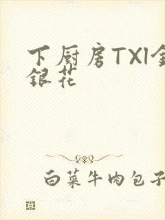 下厨房TXl金银花