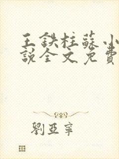 王铁柱苏小汐小说全文免费阅读最新章节