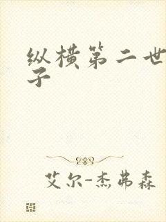 纵横第二世界宽子