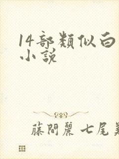 14部类似白洁小说