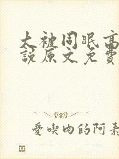 大被同眠高粱小说原文免费阅读