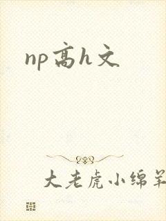 np高h文