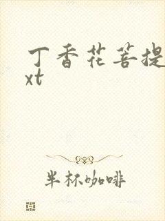 丁香花菩提树txt