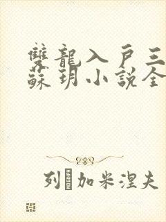 双龙入户三人行苏玥小说全文阅读